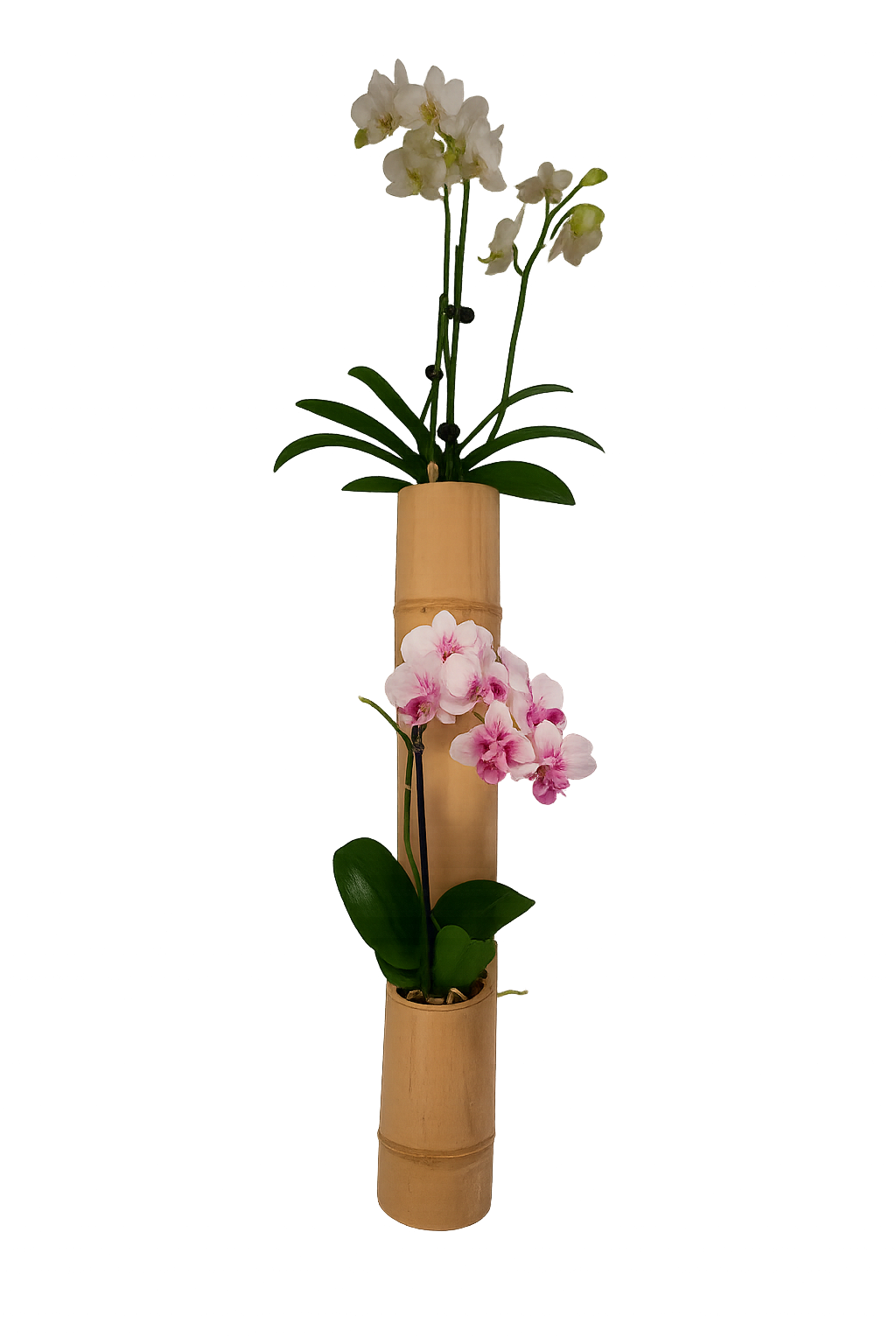 Double vertical planter